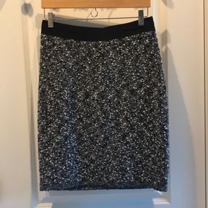 Ann Taylor Skirt